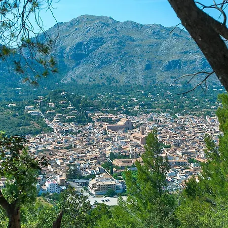 Owl Sion - Exclusive Holidays