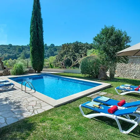 Owl Sion - Exclusive Holidays *