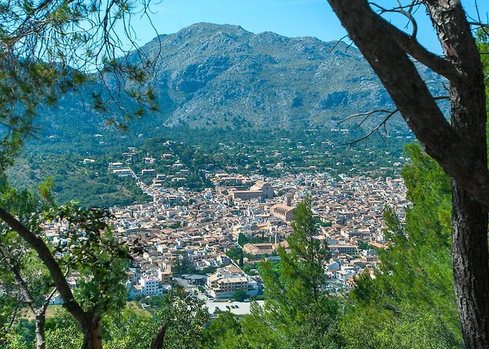 Owl Sion - Exclusive Holidays