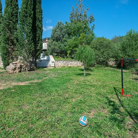 Owl Sion - Exclusive Holidays