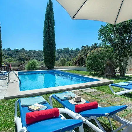 Owl Sion - Exclusive Holidays