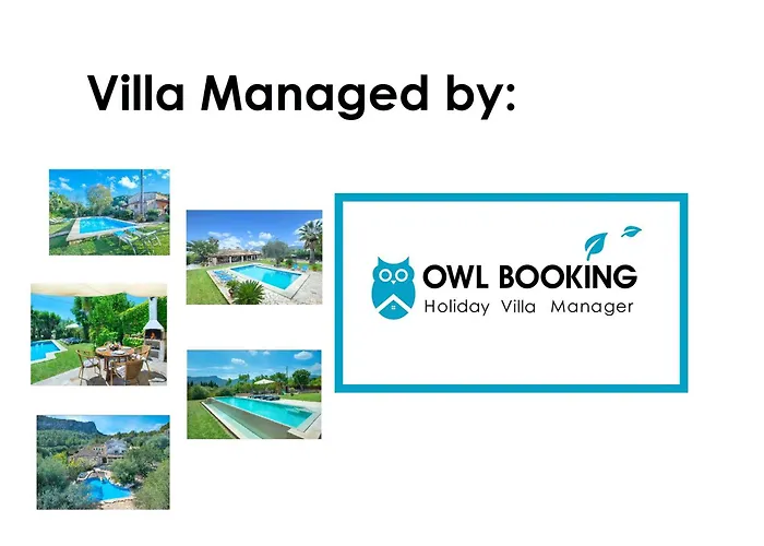 Owl Sion - Exclusive Holidays * Pollensa