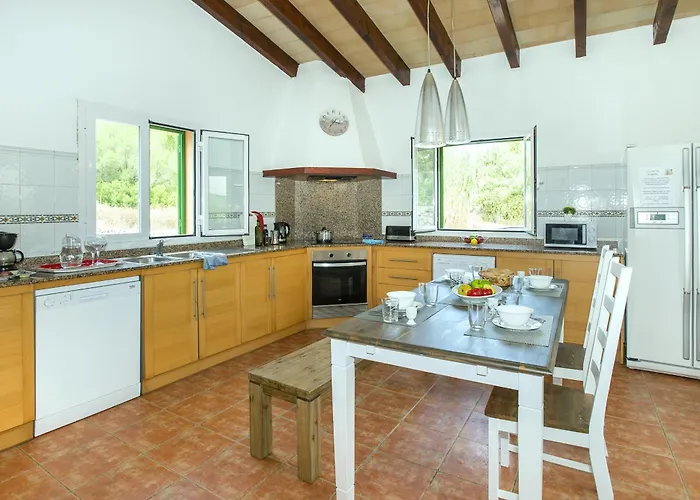 Willa Owl Sion - Exclusive Holidays *