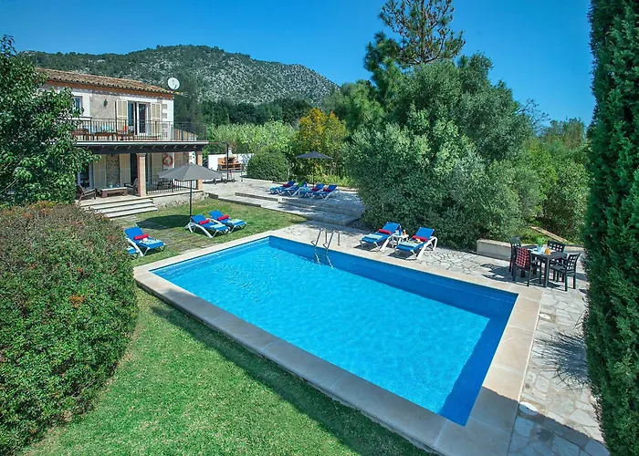 Owl Sion - Exclusive Holidays Pollensa