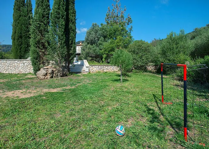 Owl Sion - Exclusive Holidays