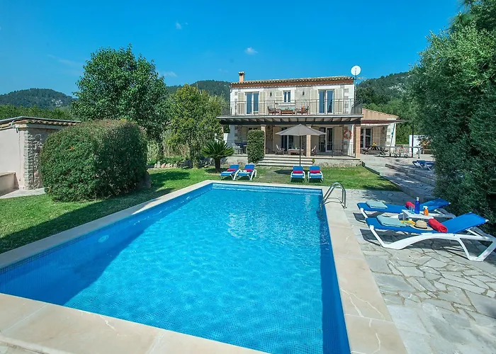 Willa Owl Sion - Exclusive Holidays